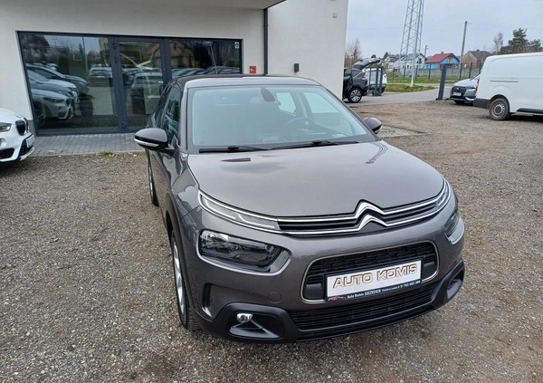 Citroen C4 Cactus cena 49899 przebieg: 99000, rok produkcji 2019 z Koprzywnica małe 232